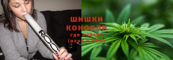 шишки Корсаков