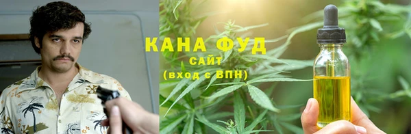 шишки Корсаков