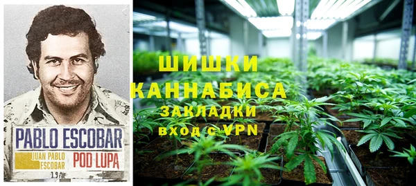 прущие крисы Коряжма