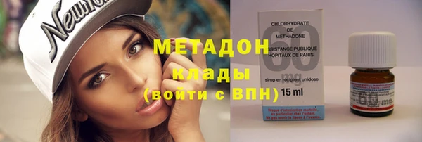 шишки Корсаков