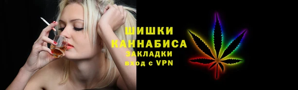 ГАЛЛЮЦИНОГЕННЫЕ ГРИБЫ Костерёво