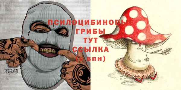 ГАЛЛЮЦИНОГЕННЫЕ ГРИБЫ Костерёво