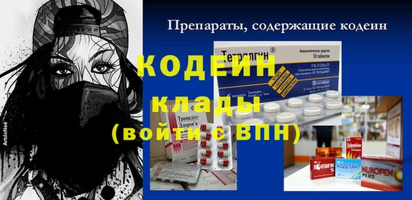шишки Корсаков